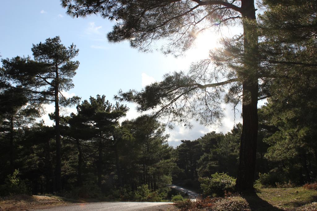 Assos Kartal Yuvasi Hotel Sazli Luaran gambar